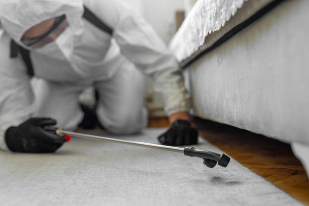 Professional Cockroach Control technician working in Northwoods, MO