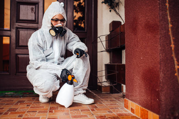 Reliable Cockroach Control contractor in Northwoods, MO by Nex Pest Control